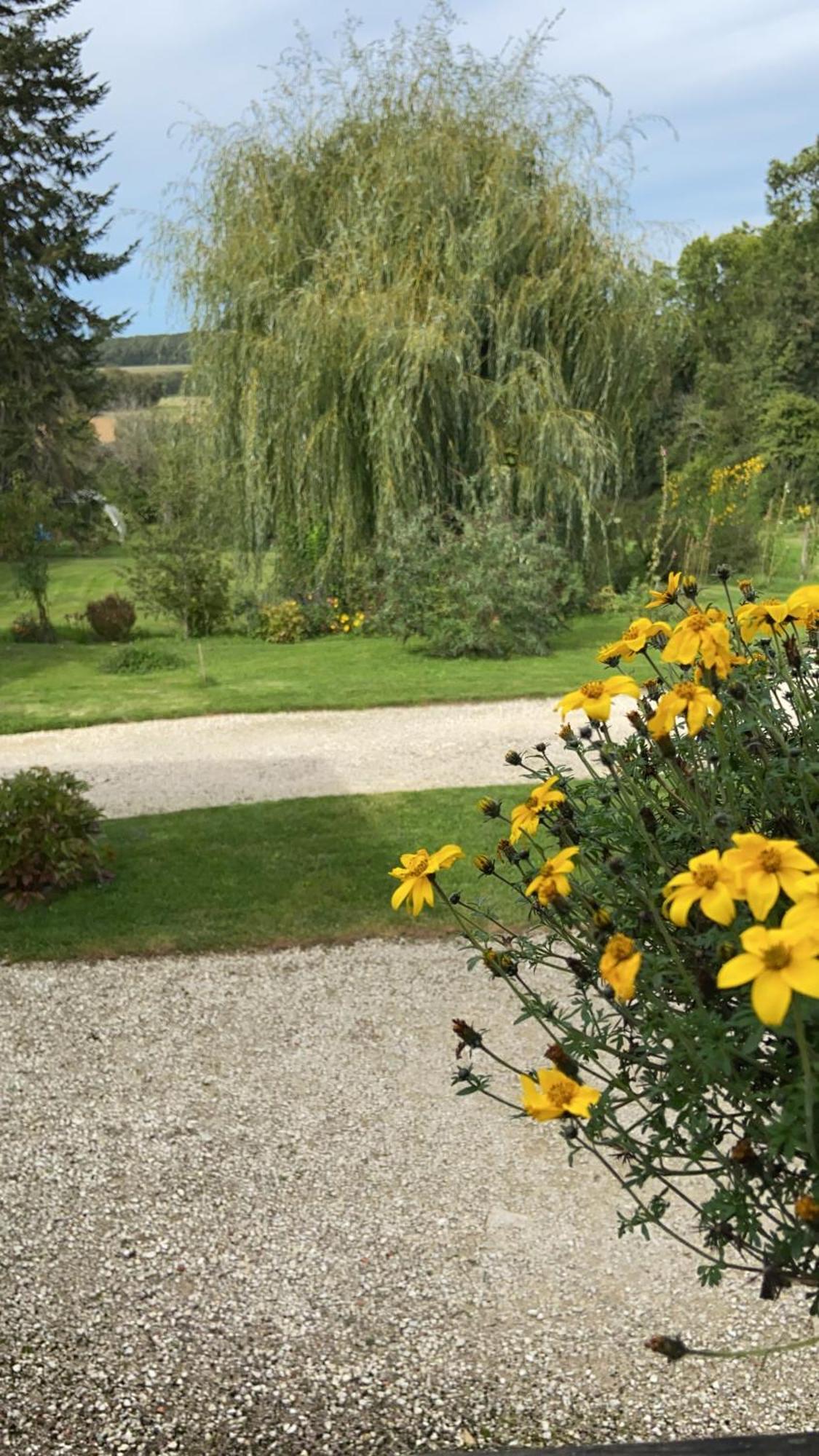 Pivoine Chambre D Hotes Fralignes Eksteriør bilde