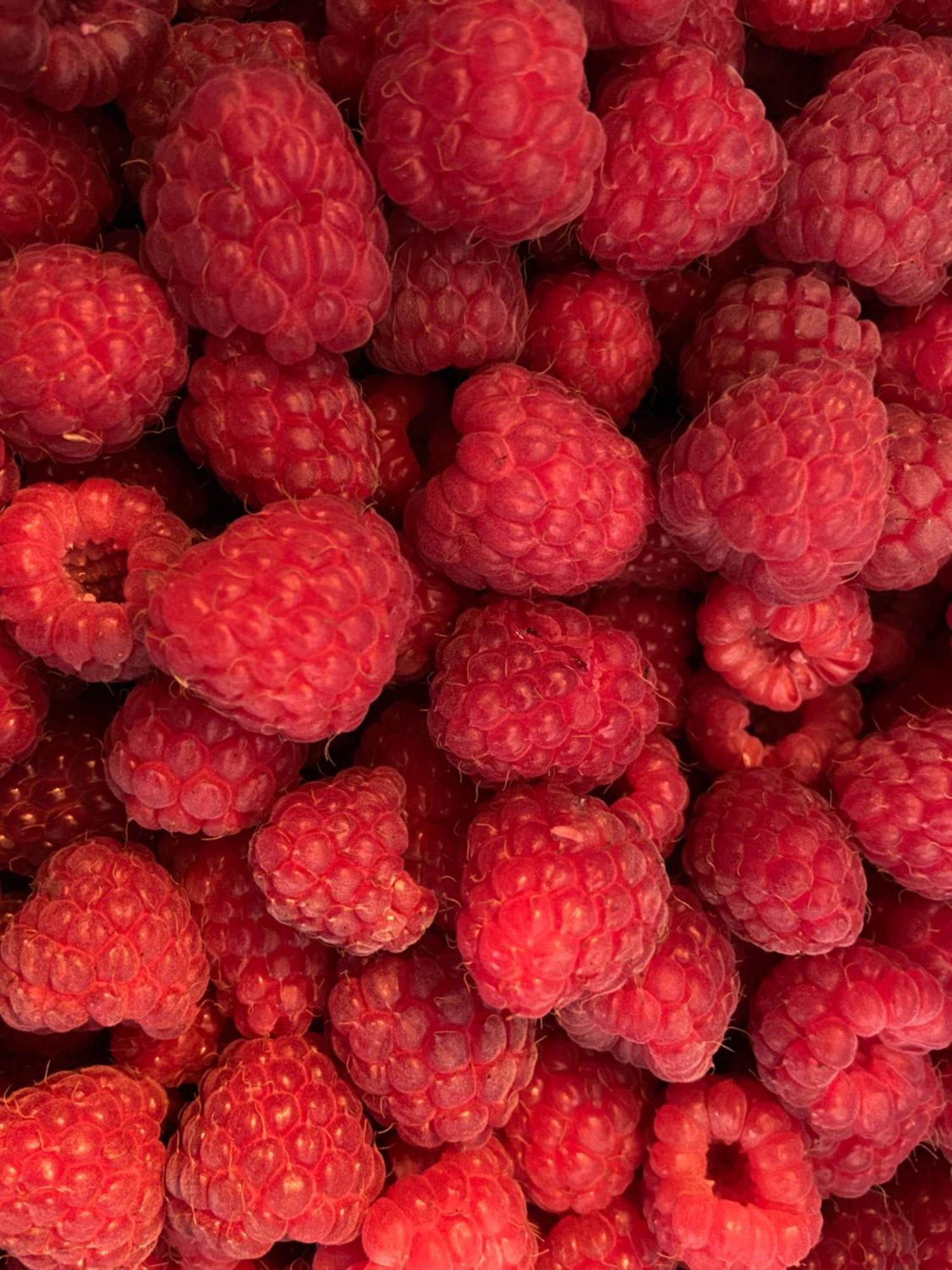 Pivoine Chambre D Hotes Fralignes Eksteriør bilde